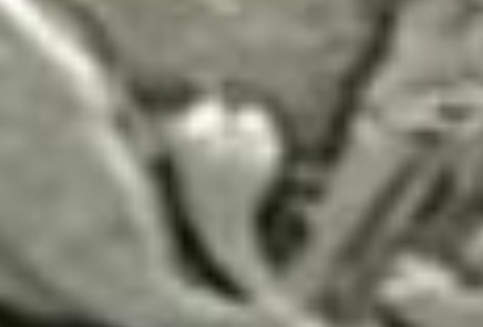1861-O-Confederate-Half-Dollar?